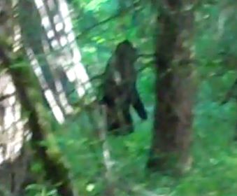 File:12231488 847618102002969 1036083407 n.jpg