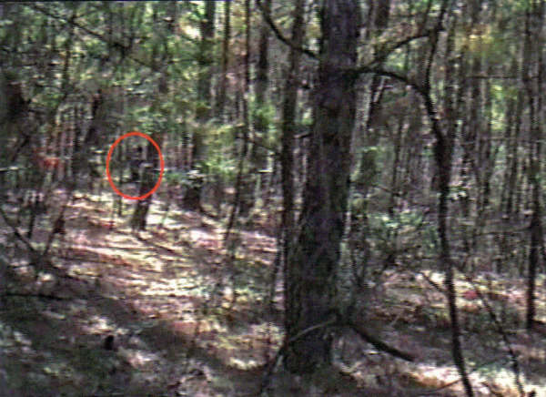 File:Sweeten hoax2TX.jpg