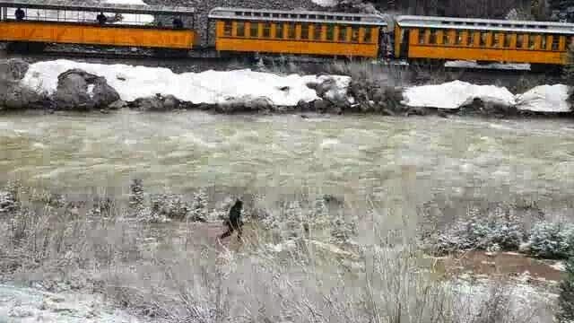 Bigfoot sighted near Silverton