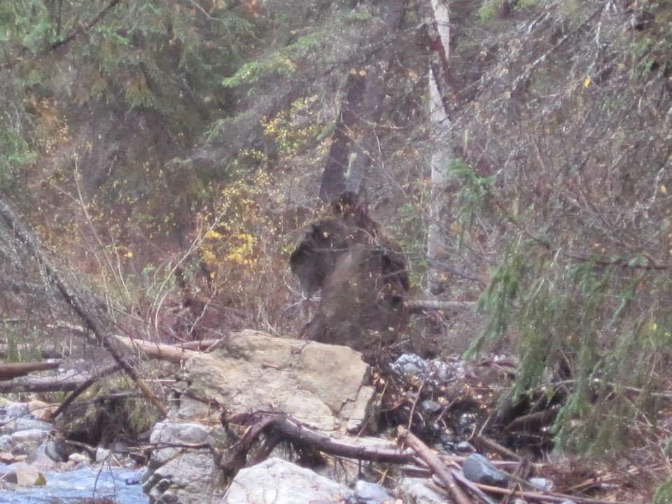 This was making the rounds on Facebook, it's not a bigfoot, its a root ball of a downed tree.