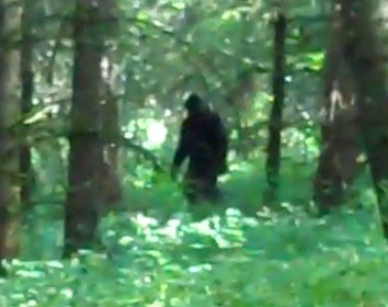 File:12212489 847618488669597 513976392 n.jpg