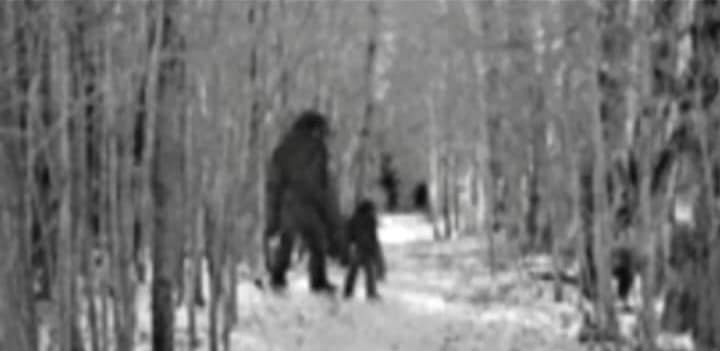Mystery Bigfoot Photos Found In Grandfather's Belongings