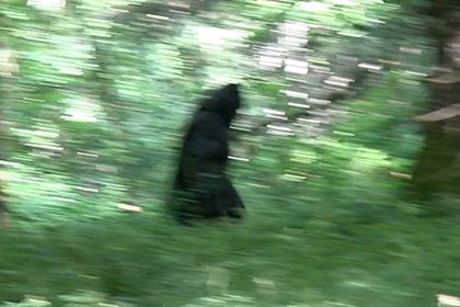 File:12212050 847618282002951 1033565039 n.jpg