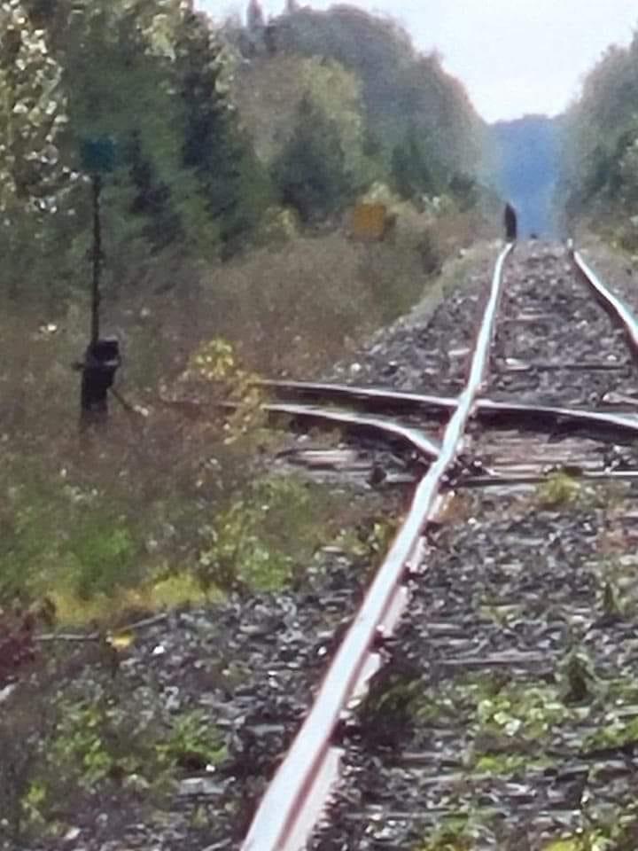 2024 Railroad Bigfoot Photo