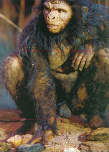File:Image (3)Johor Hominid hoax -2006.jpg