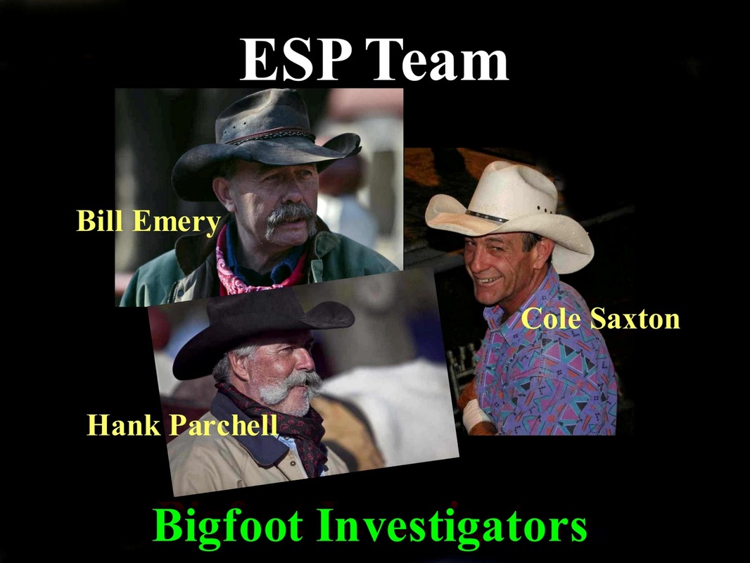 One of Linda's first ESP team graphics. She would later regret using those pictures.
