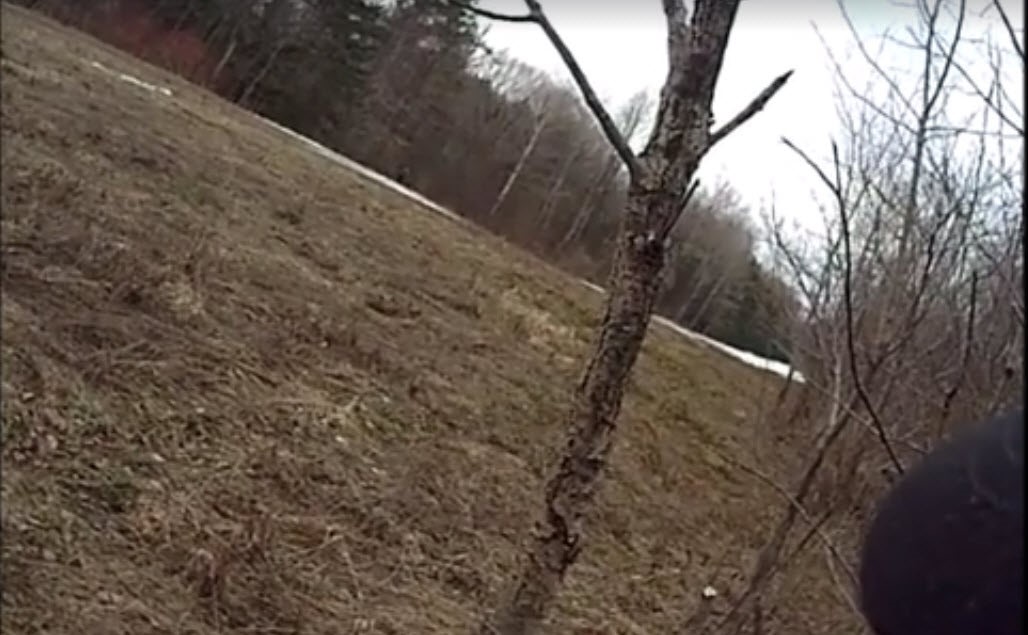 screen captures that was used for comparison