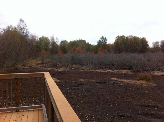 One of the dried up waterfowl areas as seen from the viewing platform.