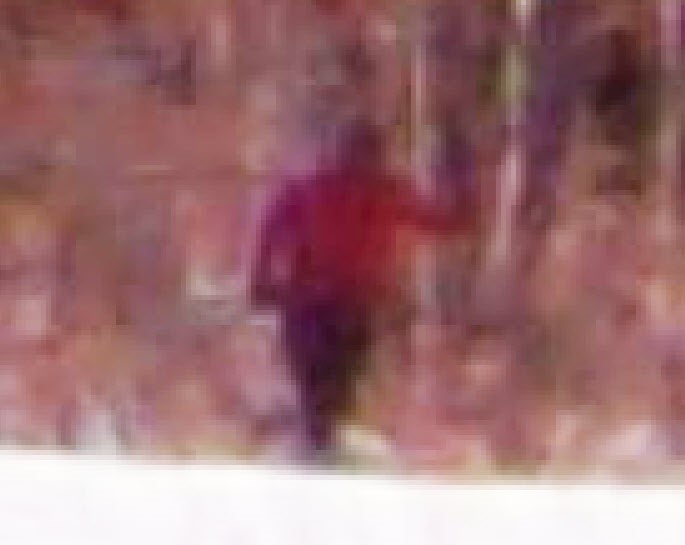 500% zoomed photo and brightened it 100%