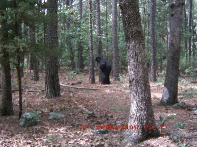 Kiamichi Mountains Hoax
