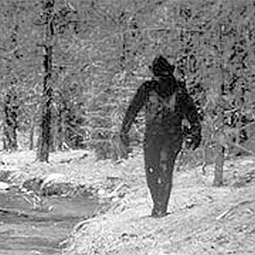 File:Ivan marx 1977 hoax.jpg