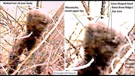 File:43604450 544344655993894 4302682534732365824 n.jpg