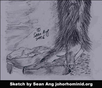 File:Image (2)Johor Hominid hoax -2006.jpg