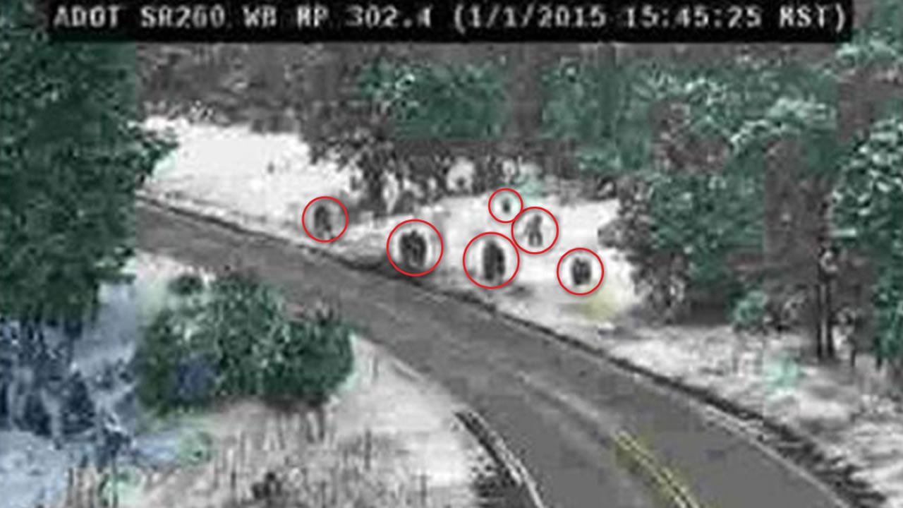 Arizona agency comes clean about Bigfoot picture