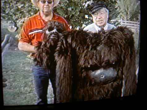 File:Phillip and Bob.jpg