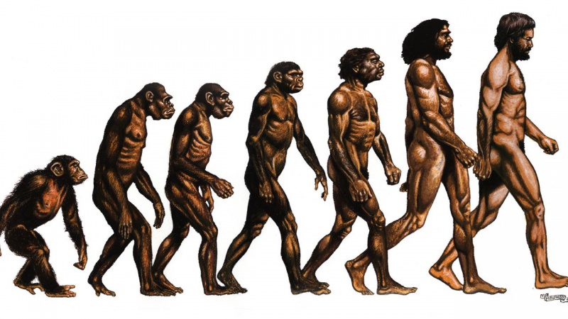 File:Missing link.jpg