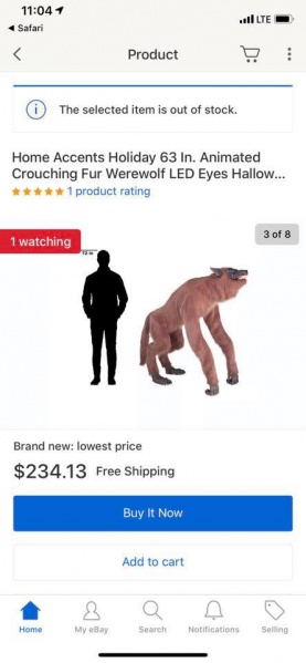 File:45056397 10213084121958109 7411164565456551936 n.jpg