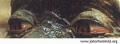 Thumbnail for version as of 16:38, 8 April 2021
