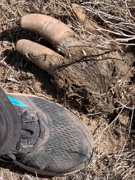 File:168162642 10159489040574916 1840479746256059412 n.jpg