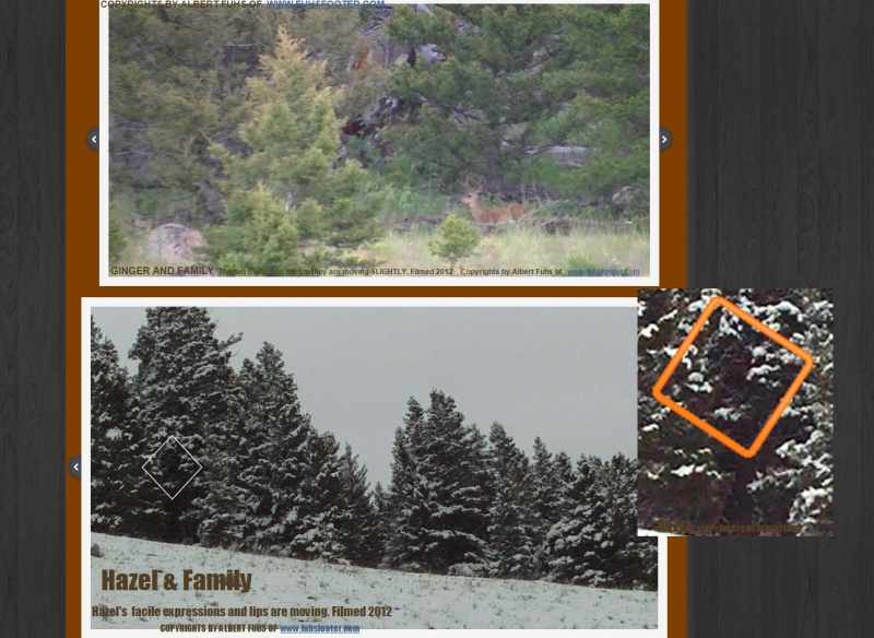 File:2016-02-15 10-41-30.jpg