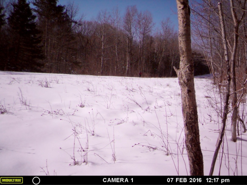 File:1 Ryan Reading.jpg