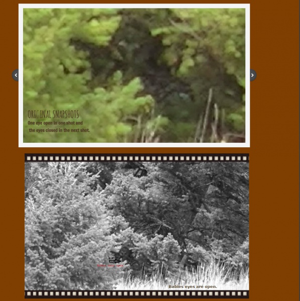 File:2016-02-15 10-54-13.jpg