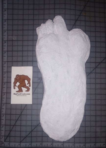 File:1951 Yeti 2 footprint cast.jpg