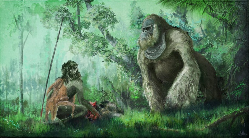 File:Gigantopithecus blacki.jpg