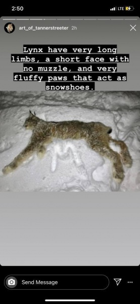 File:277992818 2707433732735470 4055464492915944732 n.jpg