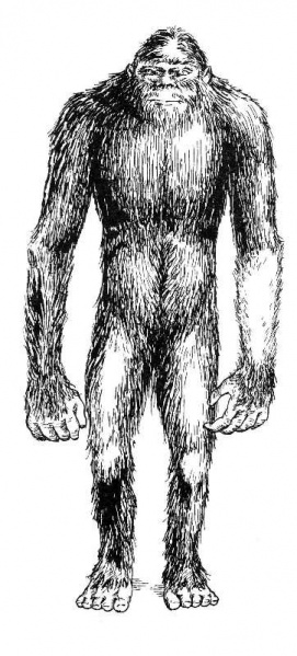 File:Mechenyfgbf.jpg