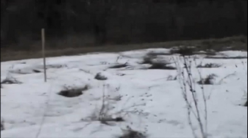 File:2 screen captures that was used for comparison.jpg