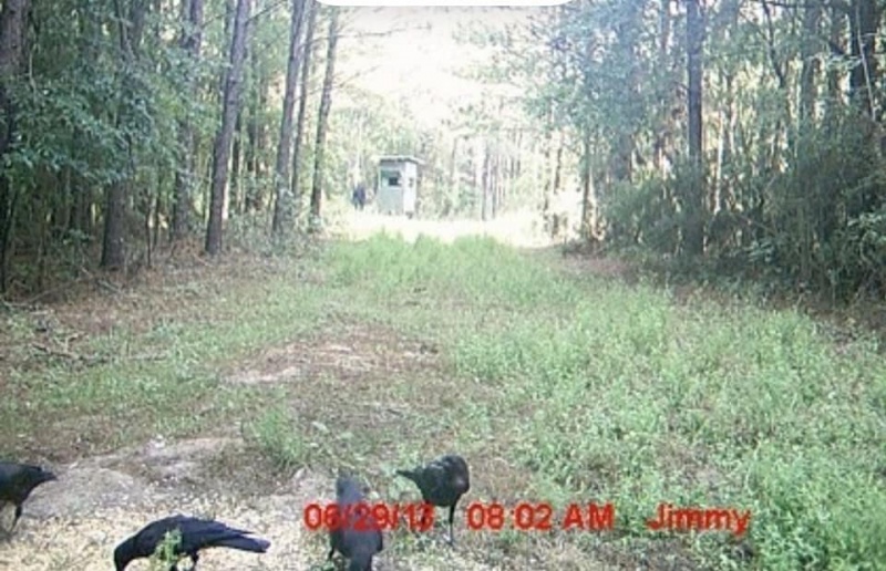 File:181161598 10222003967021579 2783010270284301228 n (1).jpg