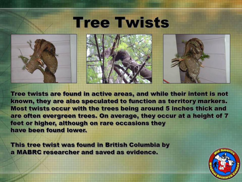 File:5589 4979237519136 797892339 n.jpg