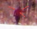 Thumbnail for version as of 11:38, 13 November 2023
