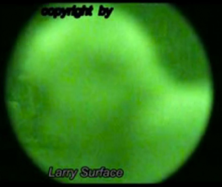 File:303783 10150953525355721 832577506 n.jpg