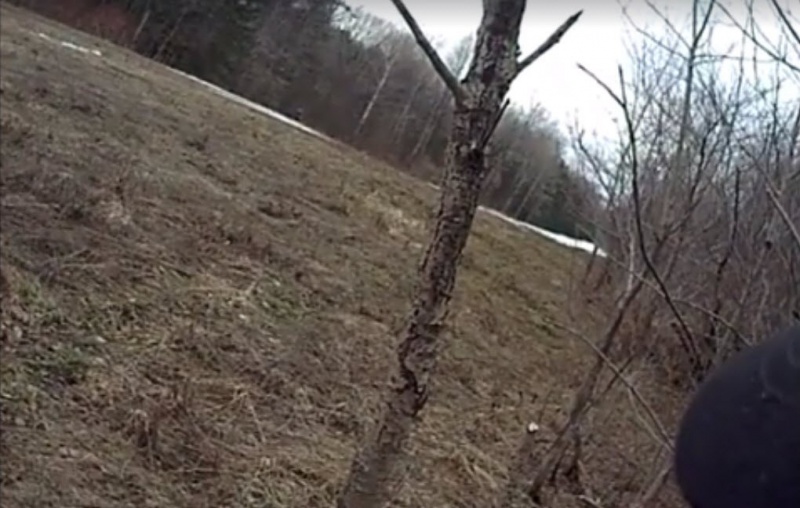 File:9 screen captures that was used for comparison.jpg