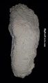 Thumbnail for version as of 22:33, 21 March 2021