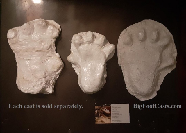 2013 Orang Pendek footprint cast replica