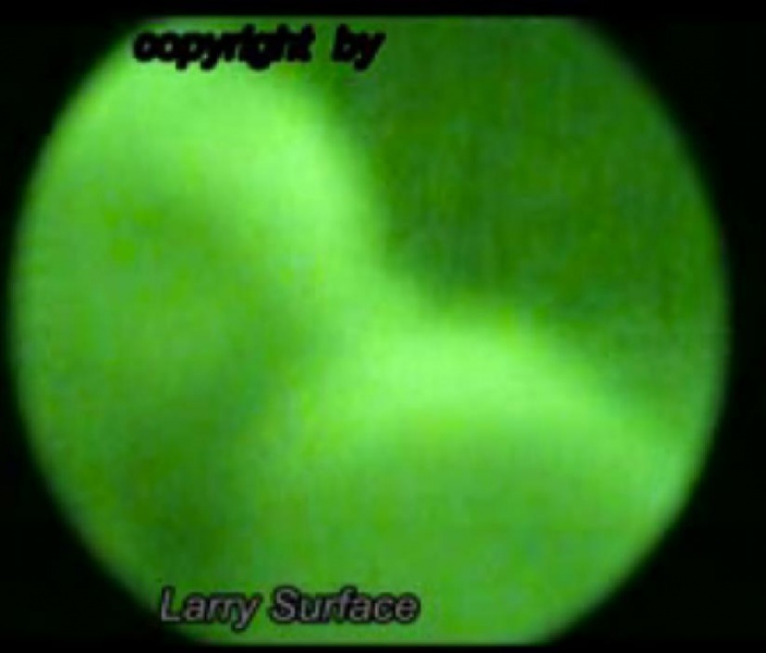 File:379933 10150953525485721 1656067803 n.jpg