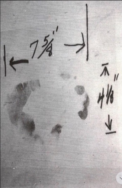 File:Abominable Chicken Man of El Reno, Oklahoma.jpg