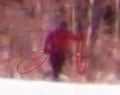 Thumbnail for version as of 11:49, 13 November 2023