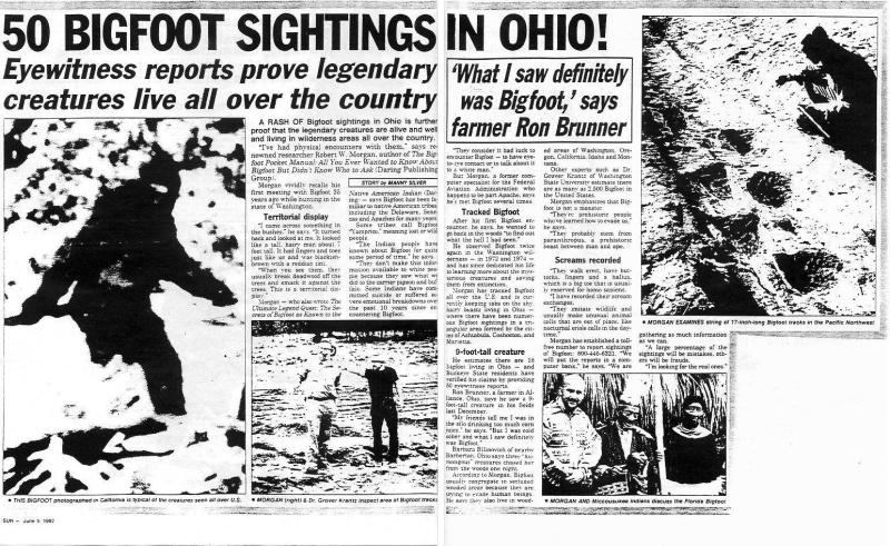 File:10943794 439847199499138 4507168693813995791 o.jpg