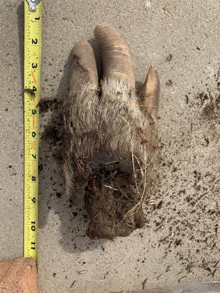 File:168508917 10159489041679916 7506693775674772295 n.jpg