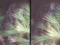Thumbnail for version as of 00:02, 11 March 2021