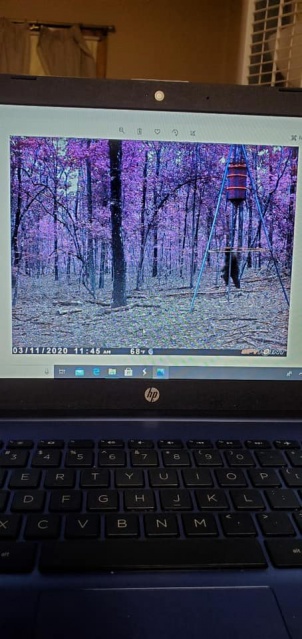 Buena Vista, Georgia Photos