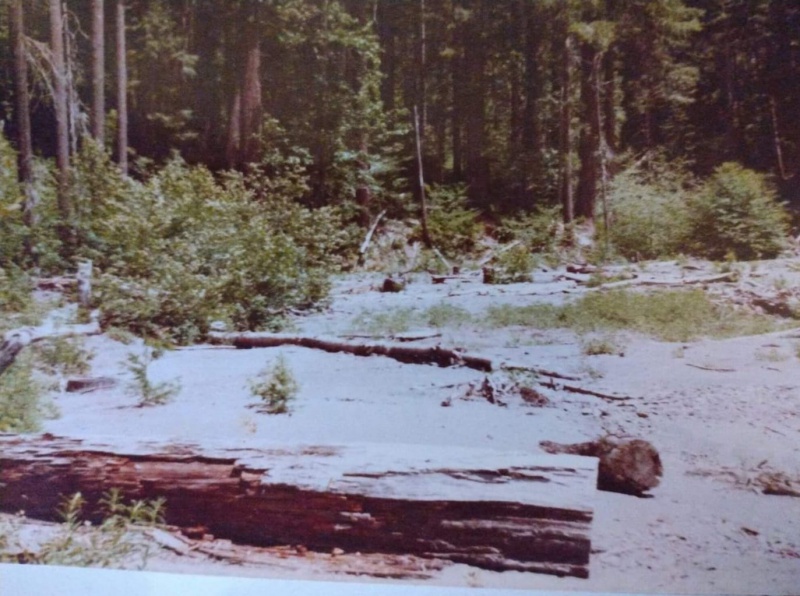 File:336066856 597969322239248 9003125070578580529 n.jpg