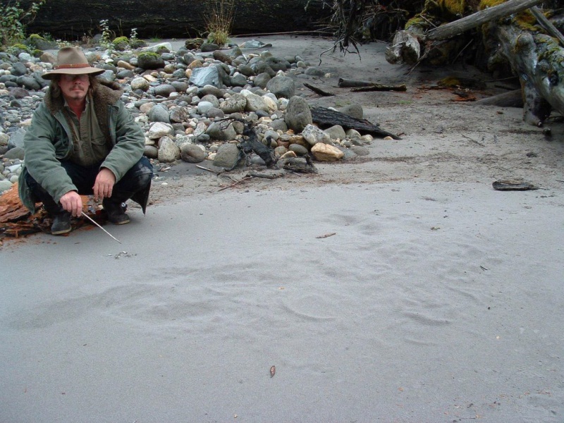 File:Rick Noll in the field.jpg