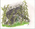 Thumbnail for version as of 20:28, 17 March 2021
