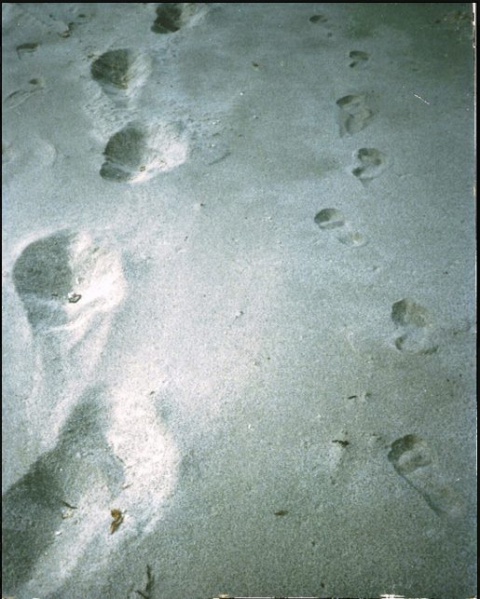 File:308473 10150961077190721 864631505 n.jpg