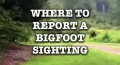 Where-to-report-a-bigfoot-sighting-cover-640x346.jpg